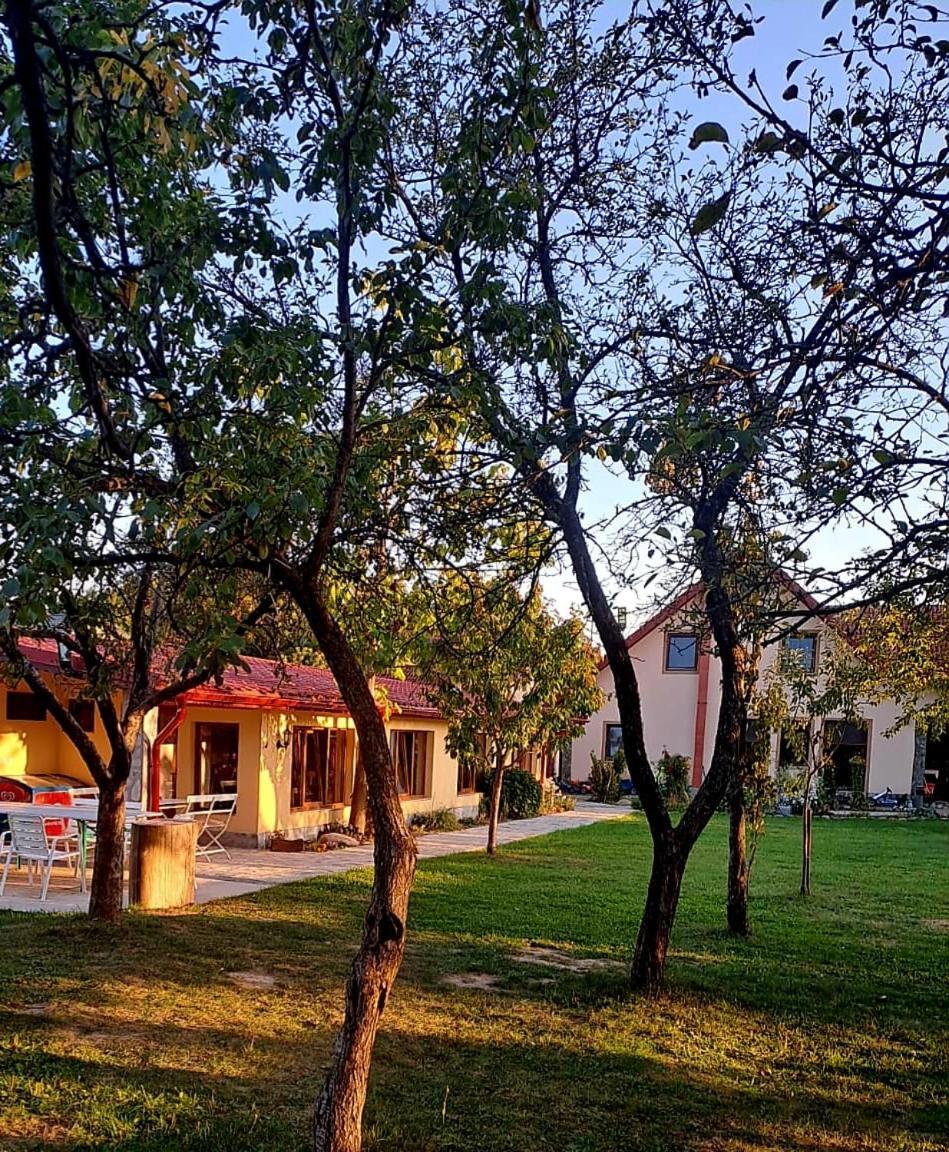 Pensiunea Casa Noastra Baia de Fier Exterior foto