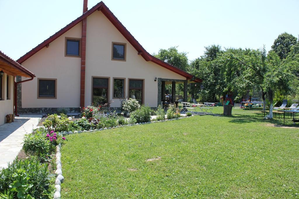 Pensiunea Casa Noastra Baia de Fier Exterior foto