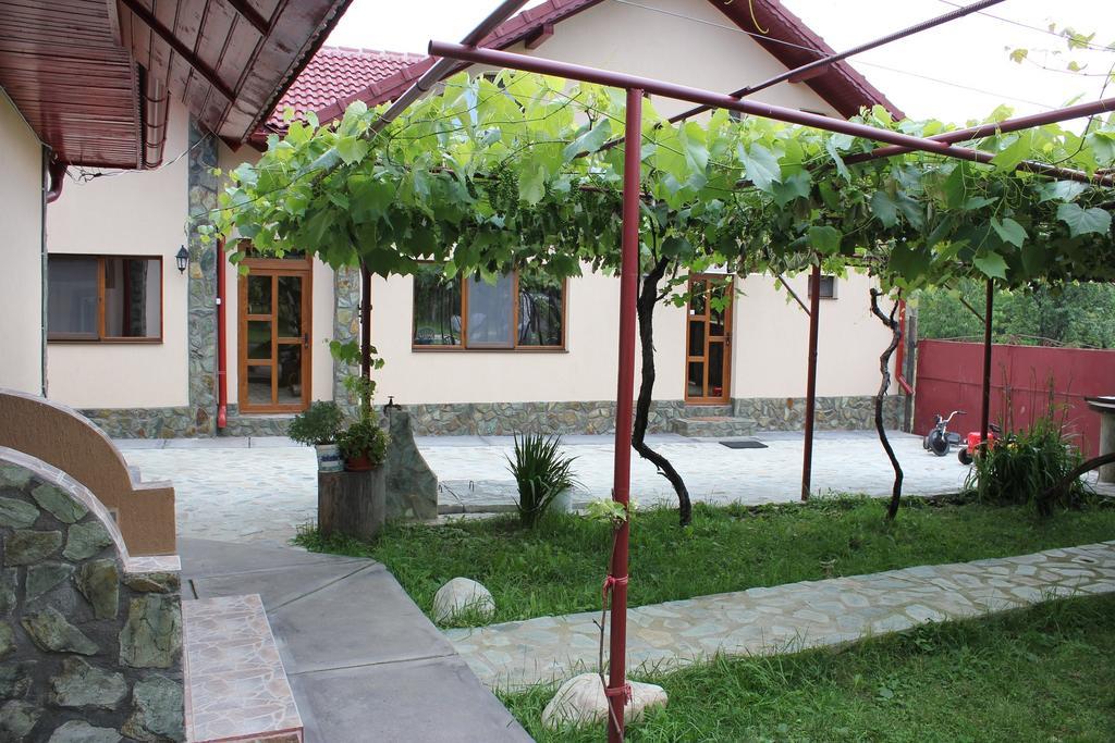 Pensiunea Casa Noastra Baia de Fier Exterior foto