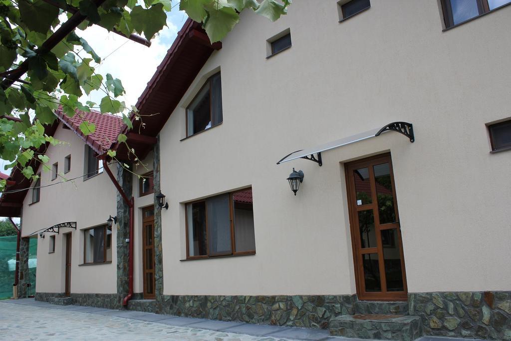 Pensiunea Casa Noastra Baia de Fier Exterior foto